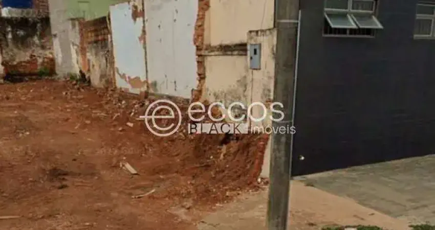 Terreno comercial à venda na Rua Cesário Alvim, 947, Rosário, Araguari