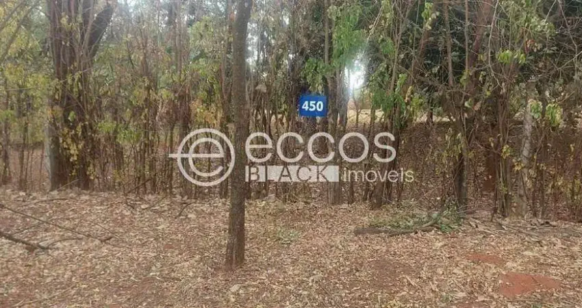 Terreno em condomínio fechado à venda na Avenida Palmira Vanucci, 379, Jockey Park, Uberaba