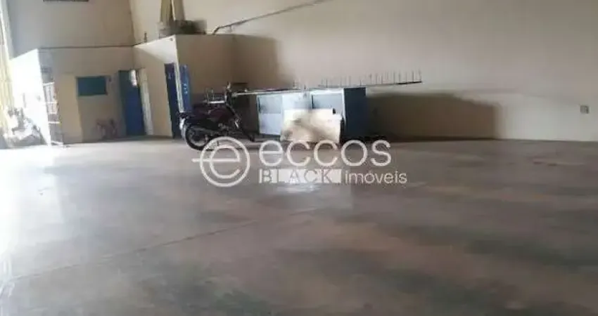 Barracão para aluguel, 1 quarto, minas gerais - uberlândia/mg