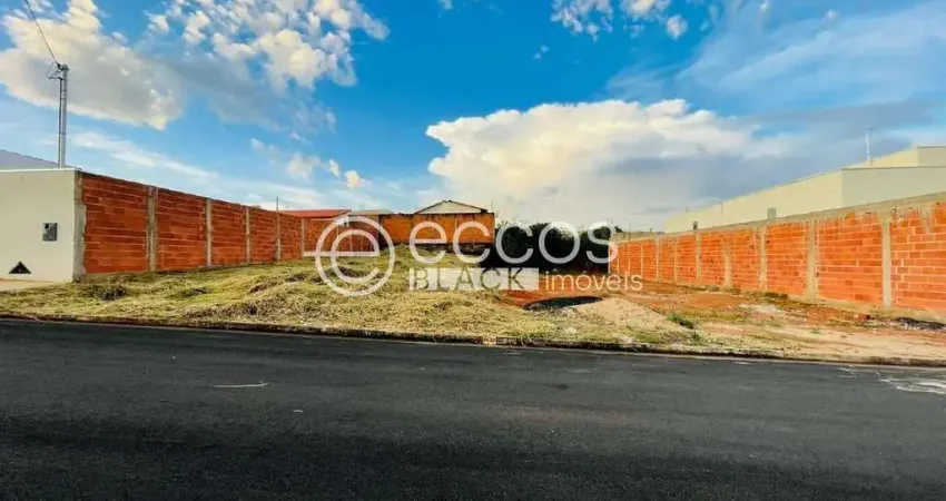 Terreno comercial à venda na Rua Antônio Rocha, 96, Interlagos, Araguari