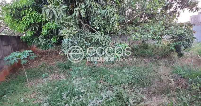 Terreno comercial à venda na Rua Aniceto Pereira, 515, Tubalina, Uberlândia