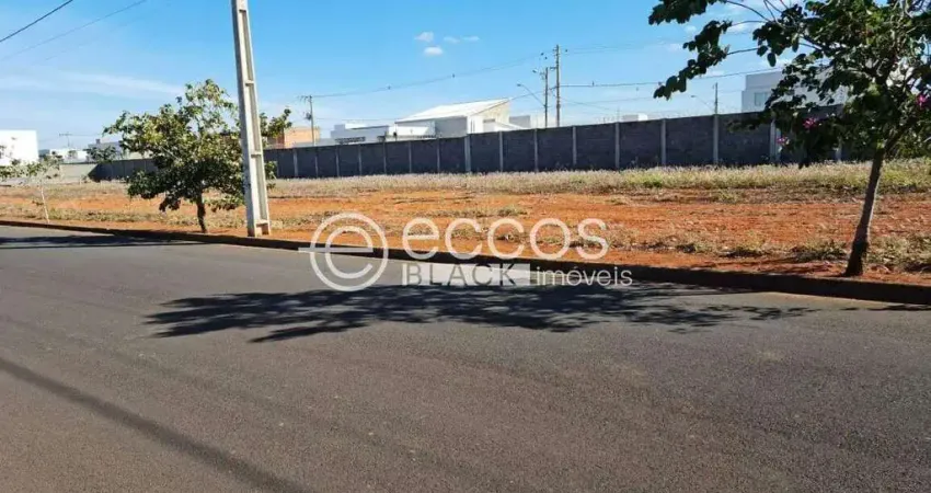 Terreno comercial à venda na Avenida Palmeira Real, 101, Novo Mundo, Uberlândia