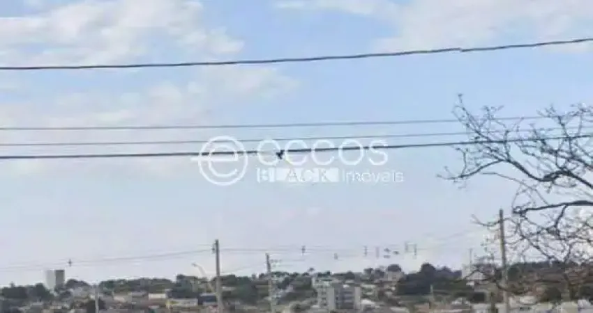 Terreno comercial à venda na Avenida Doutor Vicente Salles Guimarães, 85, Custódio Pereira, Uberlândia