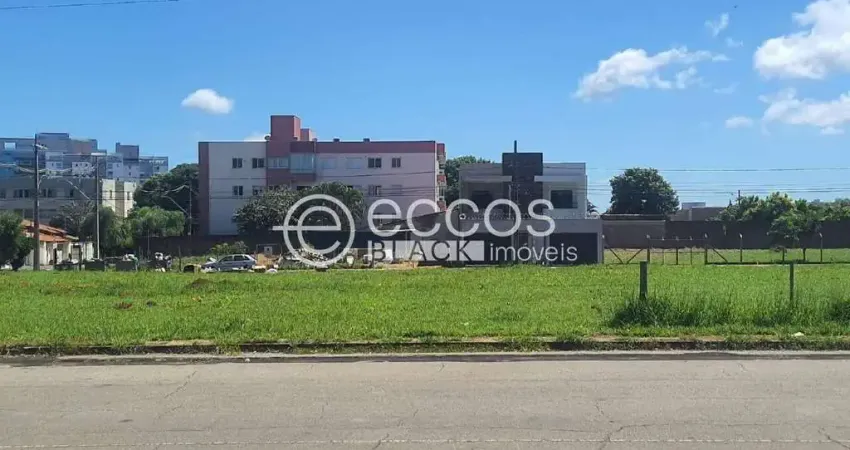 Terreno comercial à venda na Avenida Doutor Vicente Salles Guimarães, 84, Alto Umuarama, Uberlândia