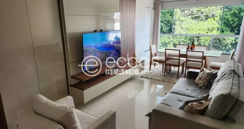 Apartamento à venda, 3 quartos, 2 suítes, 2 vagas, santa mônica - uberlândia/mg