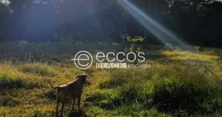 Chácara / sítio com 3 quartos à venda na Área Rural, 77, Área Rural de Uberaba, Uberaba