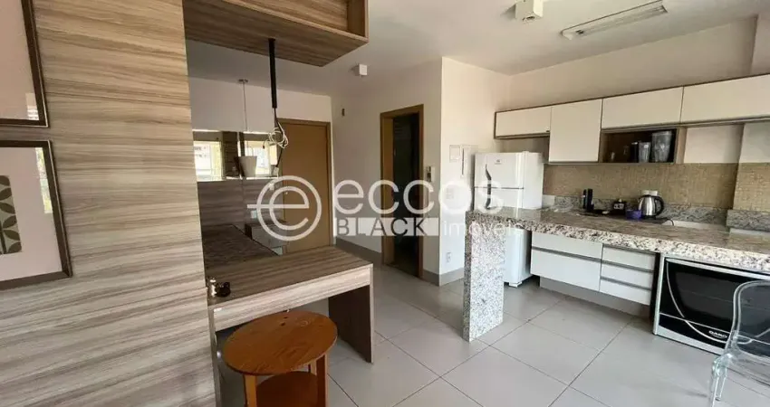 Apartamento para aluguel, 1 quarto, 1 suíte, 2 vagas, morada da colina - uberlândia/mg