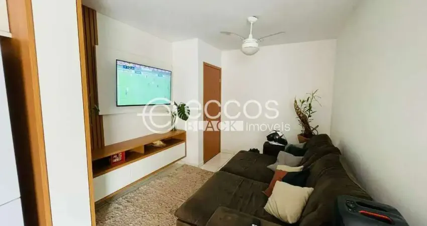 Apartamento para aluguel, 2 quartos, 1 suíte, 1 vaga, portal do vale - uberlândia/mg