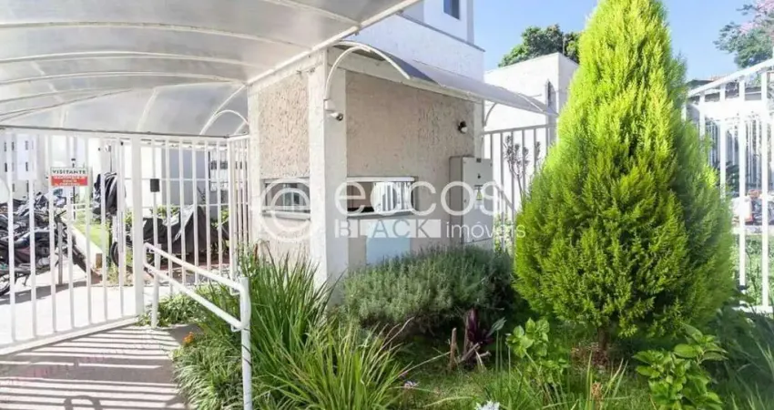 Apartamento à venda, 2 quartos, 1 vaga, santa amélia - belo horizonte/mg