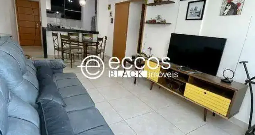 Apartamento à venda, 2 quartos, 1 suíte, 2 vagas, alto umuarama - uberlândia/mg