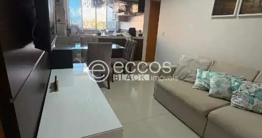 Apartamento para aluguel, 2 quartos, 1 suíte, 1 vaga, pampulha - uberlândia/mg