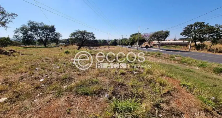 Terreno comercial à venda na Avenida Rio Mississipi, 76, Mansour, Uberlândia