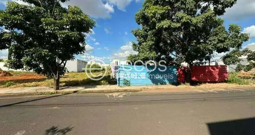 Terreno comercial à venda na Rua Dinarte José Pereira, 204, Novo Mundo, Uberlândia