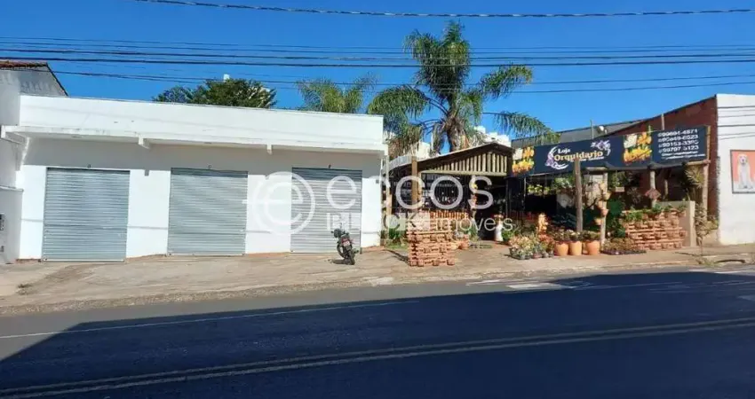 Terreno comercial à venda na Avenida Sílvio Rugani, 527, Tubalina, Uberlândia