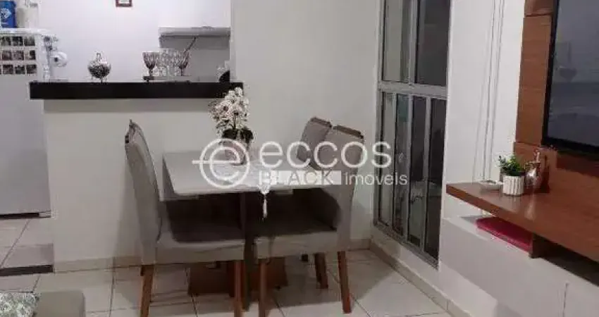 Apartamento à venda, 2 quartos, jardim holanda - uberlândia/mg