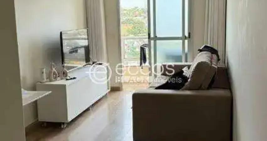 Apartamento para aluguel, 2 quartos, 1 suíte, 1 vaga, vigilato pereira - uberlândia/mg