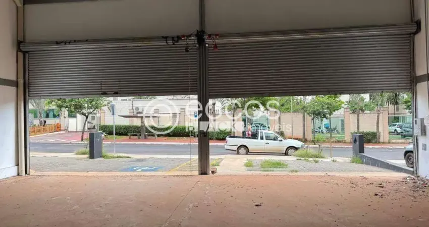 Galpão para aluguel, 3 vagas, shopping park - uberlândia/mg