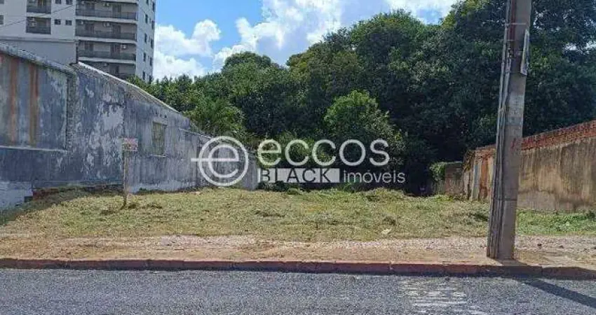 Terreno à venda na Rua Bias Fortes, Centro, Araguari