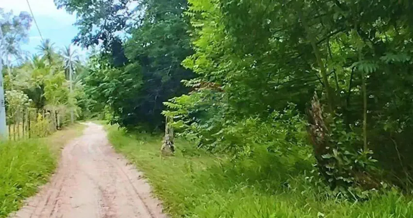 Terreno à Venda em Garapuá - 400m da Praia - Cairu - Bahia