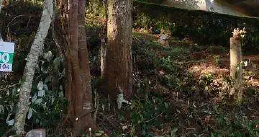 Terreno à venda na Estrada Horácio Augusto Folly, 1336, Amparo, Nova Friburgo