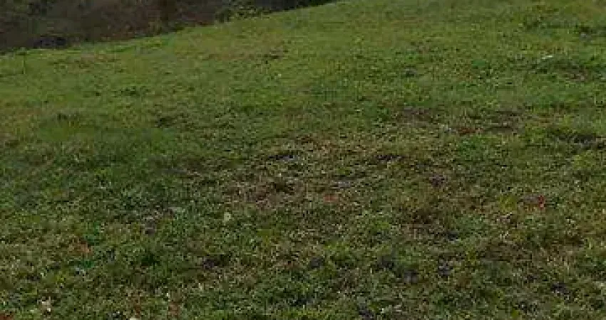 Terreno à venda na Rua Juarez Frotte, 1, Cascatinha, Nova Friburgo