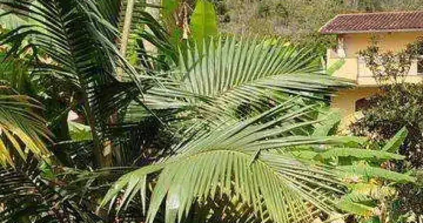 Sítio para venda em nova friburgo, amparo, 2 dormitórios, 1 suíte, 3 banheiros, 5 vagas