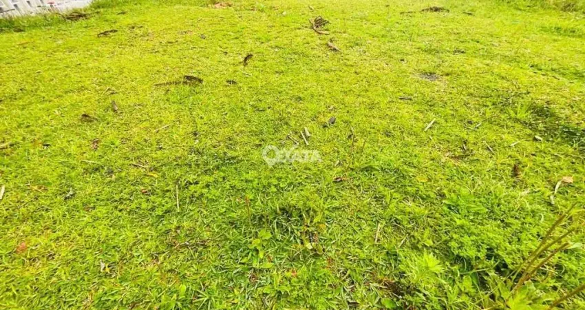 Terreno à venda na Serra Alta, São Bento do Sul