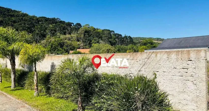 Terreno à venda, 1407 m² por r$ 520.000,00 - bela aliança - são bento do sul/sc