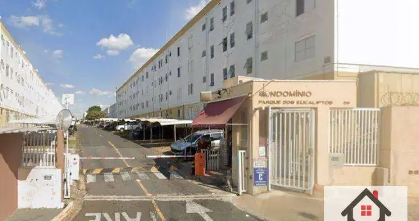 Apartamento com 3 dormitórios à venda, 74 m² por R$ 200.000,00 - Vila Padre Manoel de Nóbrega - Campinas/SP