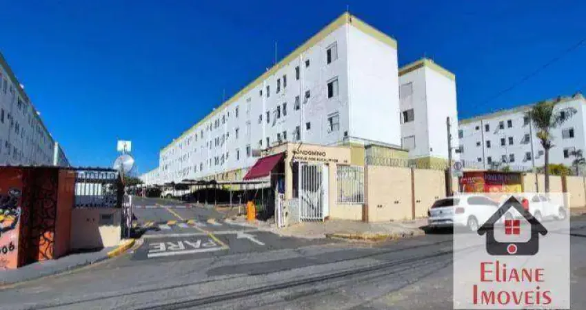Apartamento com 3 dormitórios à venda, 74 m² por R$ 245.000,00 - Vila Padre Manoel de Nóbrega - Campinas/SP