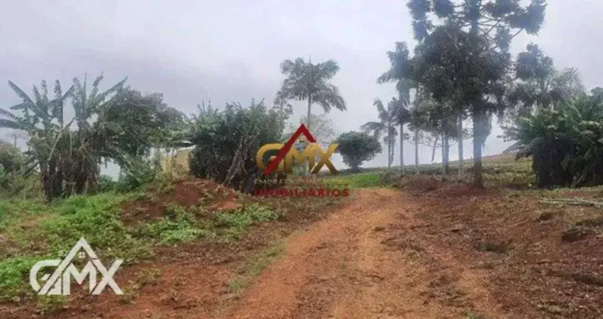 Sítio à venda, 388274 m² por R$ 1.900.000,00 - Zona Rural - Londrina/PR