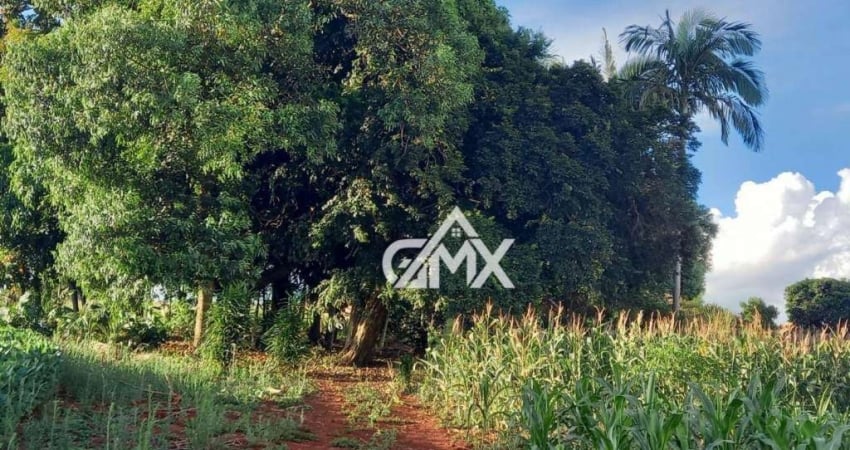 Terreno à venda, 2100 m² por R$ 380.000,00 - Serrinha - Tamarana/PR