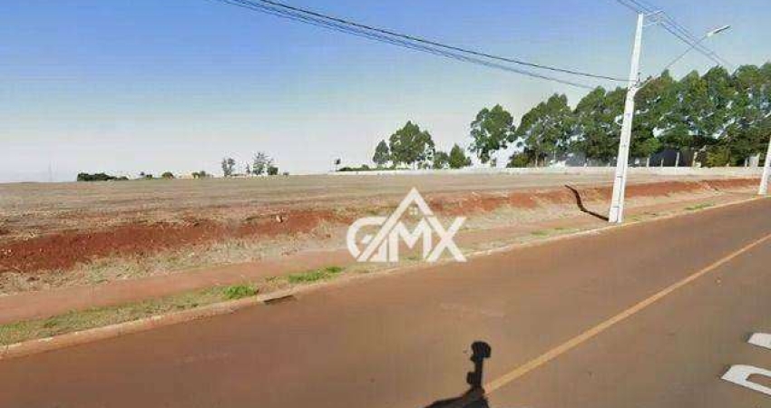 Terreno à venda, 19200 m² por R$ 3.839.834,00 - Parque Industrial IV - Arapongas/PR