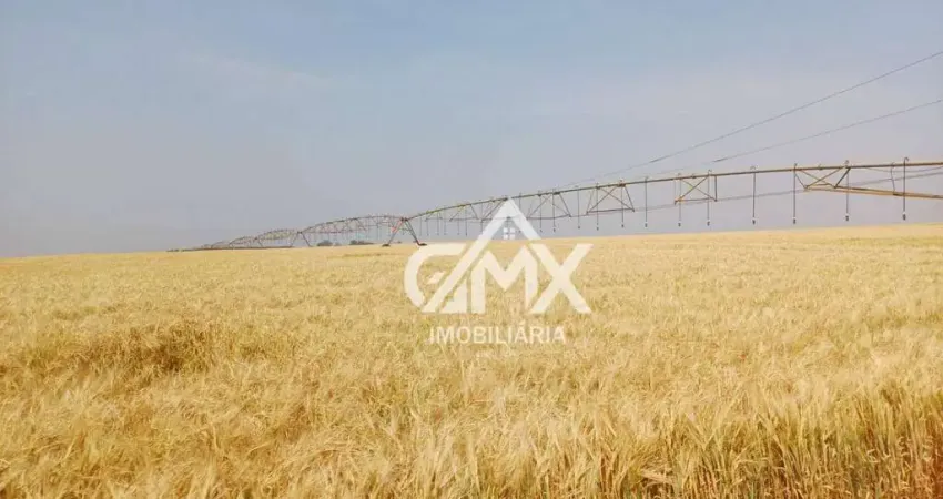 Fazenda à venda, 650 alqueires por r$ 260.000.000 - rural - taquarituba/sp