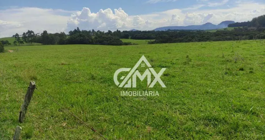 Sítio à venda, sitio de 23 por r$ 3.500.000 - rural - sapopema/pr
