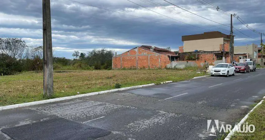 Terreno à venda na Rua Marcos Aurélio Seára, Santa Regina, Itajaí