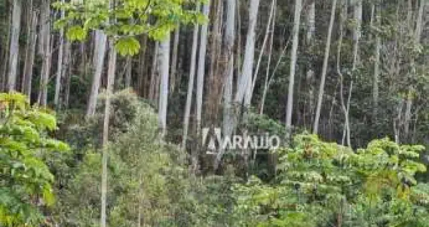 Chácara / sítio com 2 quartos à venda no Aguti, Nova Trento 