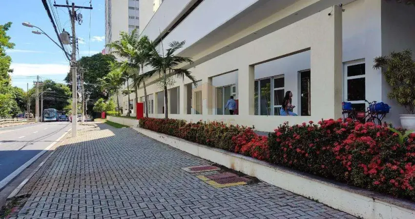 Salão para venda e locação no bairro vila itapura em campinas