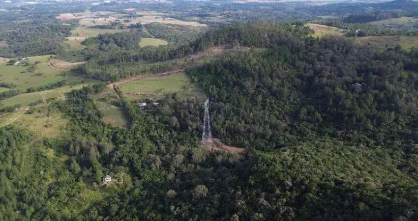 Chácara / sítio com 2 quartos à venda na Estrada Municipal Velha São Leopoldo, Santa Tecla (Ipiranga), Gravataí