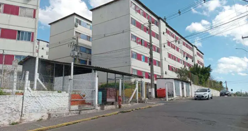 Apartamento com 2 quartos para alugar na Estrada do Boqueirão, 670, Jardim Planalto, Esteio