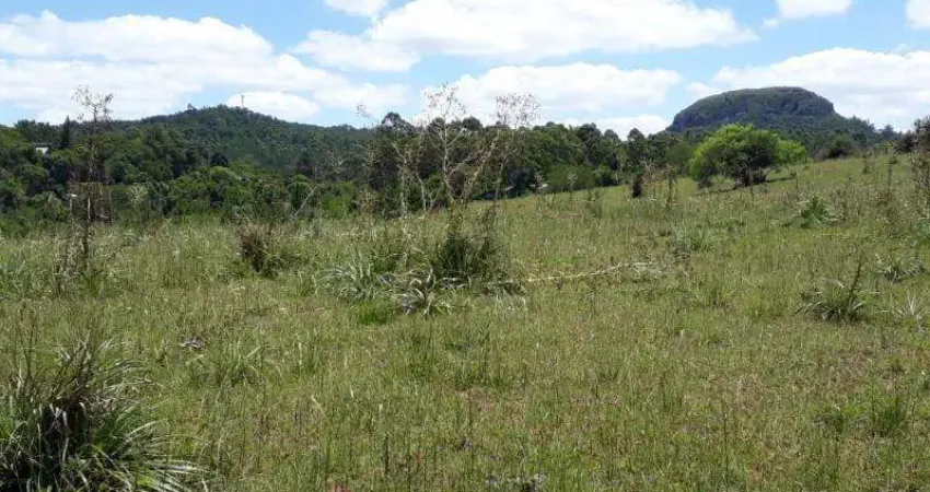 Chácara / sítio com 1 quarto à venda na Rua das Dálias, S/N, Costa do Morro, Sapucaia do Sul