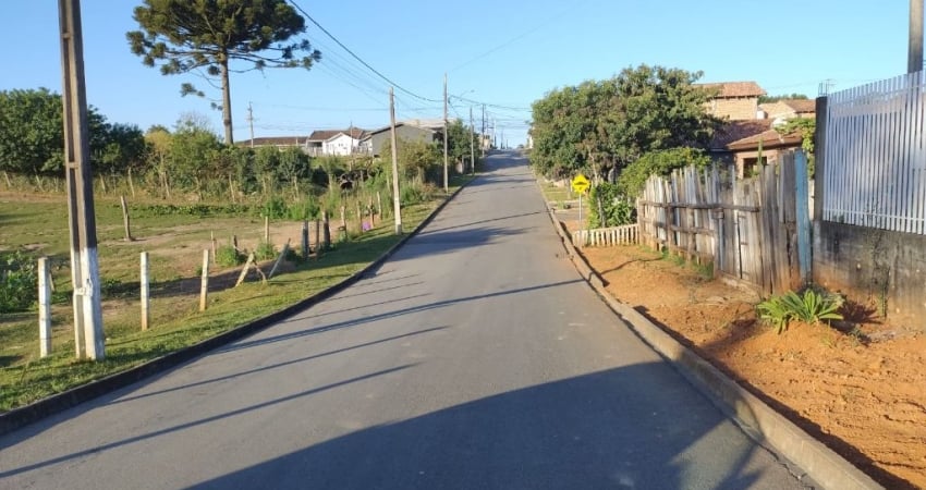 Terreno à venda na Avenida Zumbi dos Palmares, Jardim Apucarana, Almirante Tamandaré