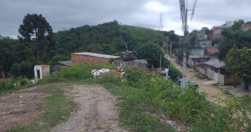 Terreno à venda na Rua Izidoro de Paula Cordeiro, Restinga Seca, Almirante Tamandaré