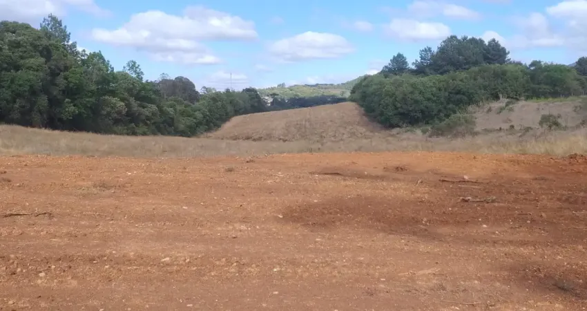 Terreno à venda na Rua Francisco Buzato, Mato Dentro, Almirante Tamandaré