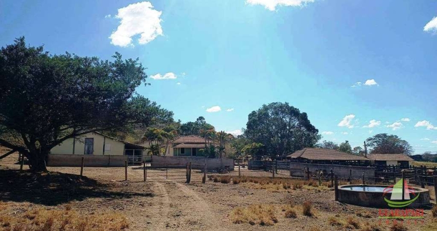 Fazenda com 187 hectares à venda por R$ 6.545.000 - Leandro Ferreira/MG