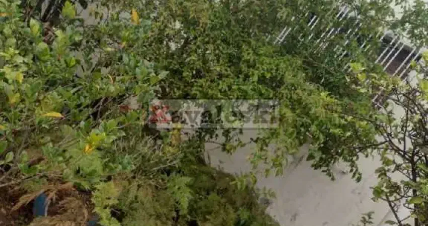 Casa com 2 quartos à venda na Rua Álvaro Pinto, --, Jardim Maria Estela, São Paulo