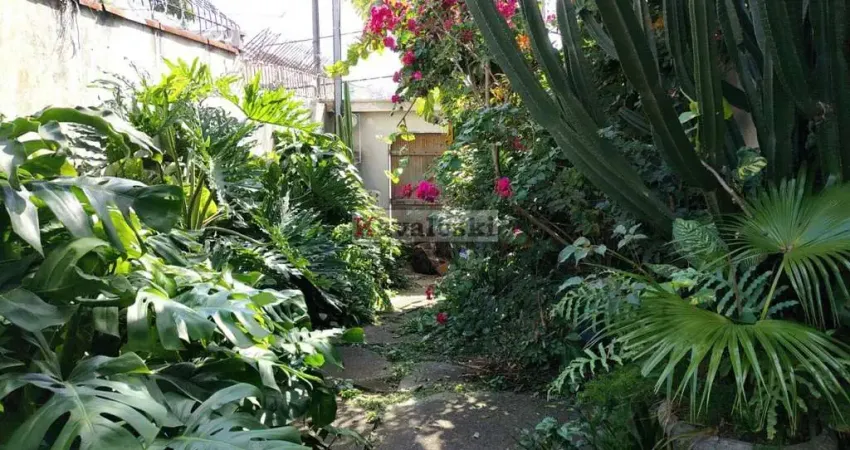 Terreno à venda na Rua Nossa Senhora da Saúde, --, Jardim Previdência, São Paulo