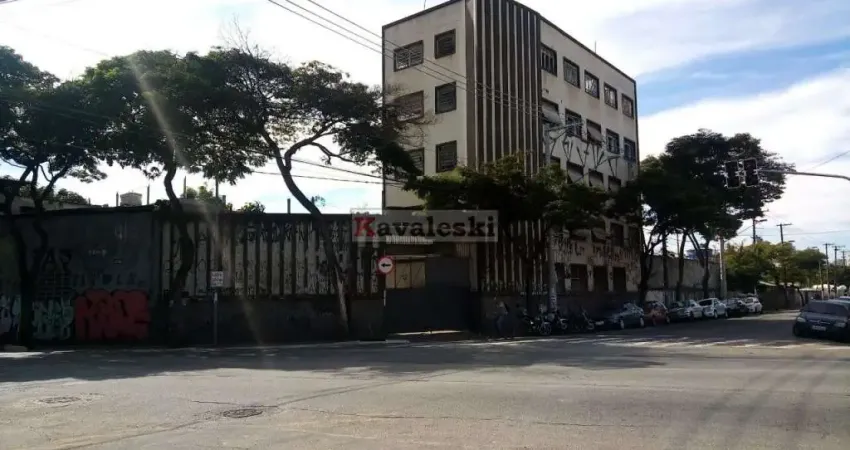 Galpão comercial a venda no bairro do cambuci, região central de são paulo.