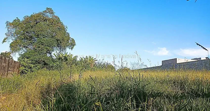 Lote / Terreno - Salvaterra