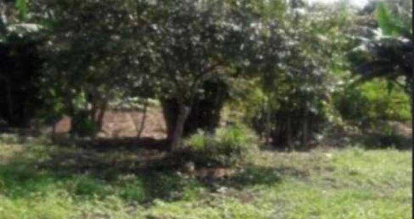 Terreno à venda na Rua Maria Paula Motta, 849, Jardim Presidente Dutra, Guarulhos
